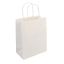 Handled Shopping Bag, 8x4.5x8.25 Tempo, White, 250/BN