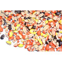 #203 Chopped Reese's Pieces® Peanut Butter Chocolate Pieces - 10 lb.