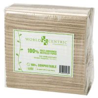 World Centric® 2 Ply Dinner Napkin - 15" x 16"